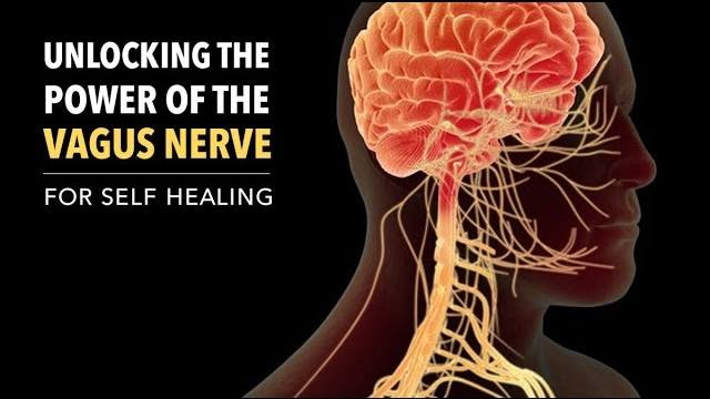 How to Stimulate the Vagus Nerve | Dr. Philip Princetta